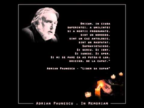 In-Memoriam-Adrian-Paunescu.flv
