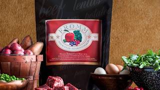 🐶🥩 Is This the BEST Dog Food? Fromm Beef Frittata Review for Happy, Healthy Dogs
