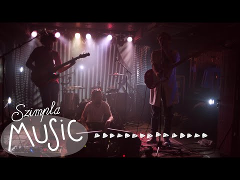 Szimpla Lemming Program: God & Monkey - Drugmusician @szimplakert