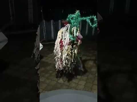 De Sfîntu Vasile.Cu cerbul, Ungheni, Măcărești ❤️🌲