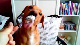 Billie Holiday - Cheek To Cheek