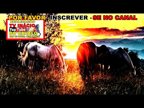 Apresentação dos Nimais  XV GP Haras Primavera - Canindé - Ceará - 25, 26 e 27 de Março de 2022