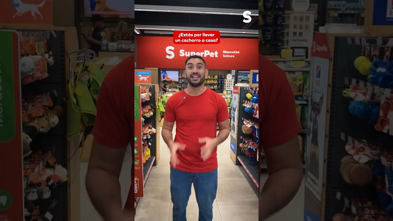 5 Escenciales para la llegada de tu cachorro