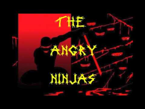 The Angry Ninjas - I'm Over It