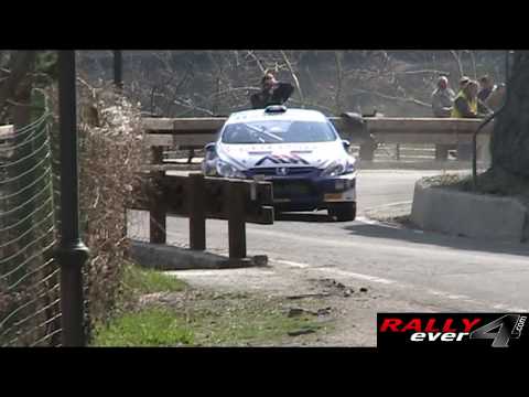 Rally della Valle d'Aosta 2010 - Mix