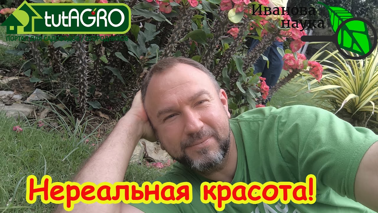 Полные кроссовки КРОВИ и нападение обезьян: моё путешествие в Кхао Яй.