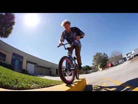 The Way She Goes - Lewis Colascione