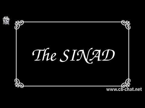 Danita 1240 CB Radio