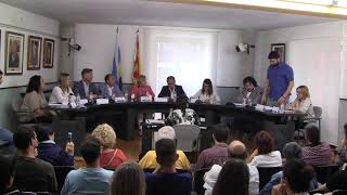 PLE CONSTITUCIONAL 15 de juny de 2019
