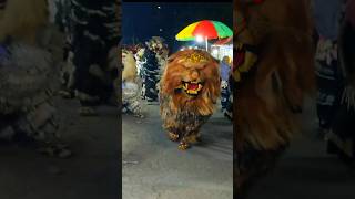 Download lagu Atraksi can macanan Singo Raung mp3