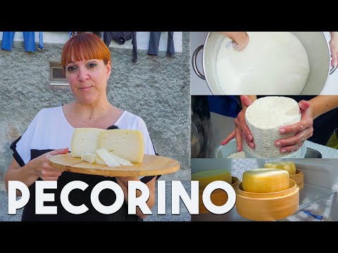 How to Make PECORINO CHEESE at Home Like an Italian CheeseMaker