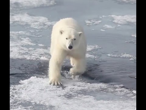 Jump Source - Guide to Action