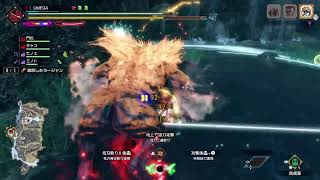 [MHRiseSB:PS5]＃12　MR上げ&研究レベル上げ　下手です😭　マイクoff