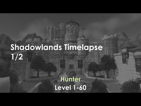 World of Warcraft Shadowlands - Hunter - Leveling Timelapse (1-60) 1/2