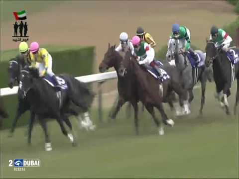 2016.11.13 Queen Elizabeth II Cup (JPN) - Queens Ring