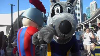 NRL Mascots Parade Darling Harbour