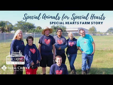 "Special Animals for Special Hearts"- Special Hearts Farm