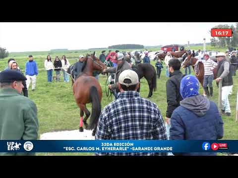 Raid sobre 6.500 por $25.000 Premio Cabaña "La Tribu"