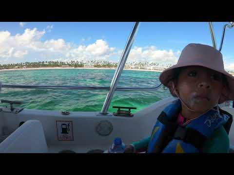 Azeneth dolphin  day