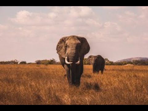 Dane Waters interview with UK's Paul Ross on Talk Radio