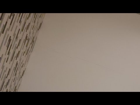 3:30am - Sephy (Goat) Is Sick 😥