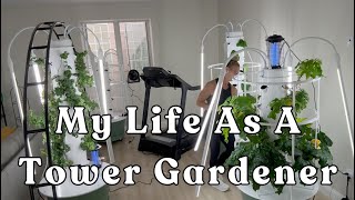 Tower Garden Time Lapse: Keeping My Towers Clean&Pest Free #garden #hydroponicgardening #towergarden