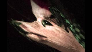 DAvid Van Ronk - Stack-o-Lee