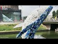 Plastic walvis verlaat Utrecht | RTV Utrecht