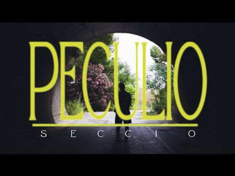 SECCIO - PECULIO (prod. Escobar449)