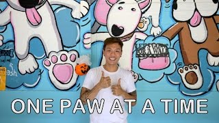 Derrick Tan: Saving Lives, One Paw At A Time | CNA Insider