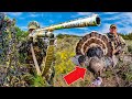PUBLIC LAND Merriam S Turkey Hunt Western Turkey Hunting