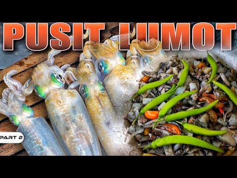 EP956-P2 - Pusit Lumot Catch and Cook
