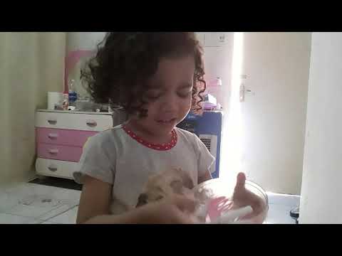Raheemah's vlog ( playing her new toys)