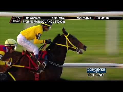 230716 c09 IRISH MILK (ARG)