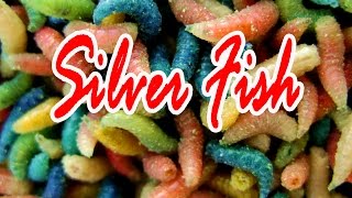 Ссылка