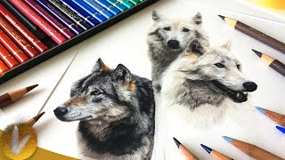 Beginning Colored Pencils Guide