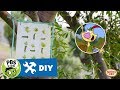 NATURE CAT Build Nature Frames With Nature Cat PBS KIDS