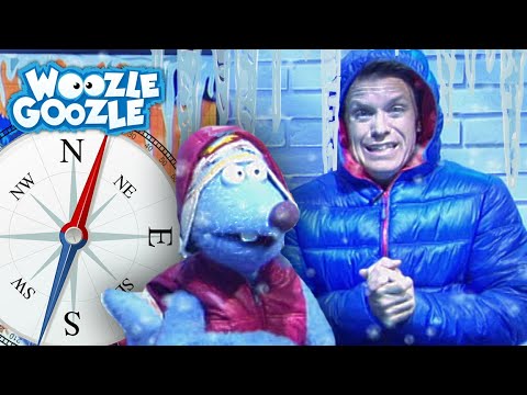 Was ist der Unterschied zwischen Arktis und Antarktis?  l WOOZLE GOOZLE