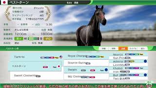 【ゆっくり実況】ウイニングポスト10　2024　世界系統確立　ターントゥ編