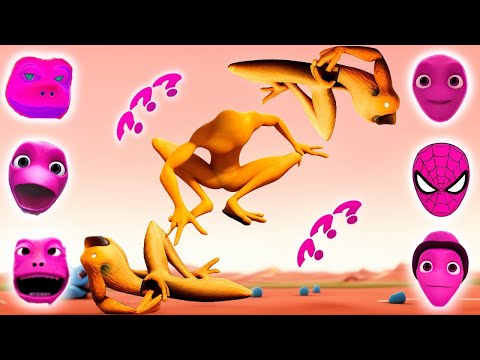 NEW Anti-Patila Wrong Heads DAME TU COSITA VS PATILA Very Fast CHALLENGE Green Alien [Collection]