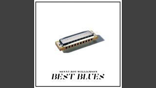 The Right Kind Of Life