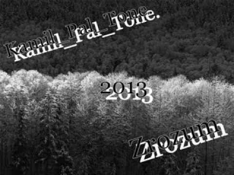 Kamil_Pal_Tone - Zrozum