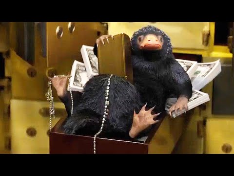 Fantastic Beasts and Where to Find Them | The Niffler Scene - Bank Robbery Movie Clip