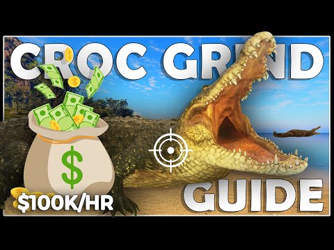 The Ultimate CROC GRINDING STRATEGY for MAD CASH & TROPHIES!!!