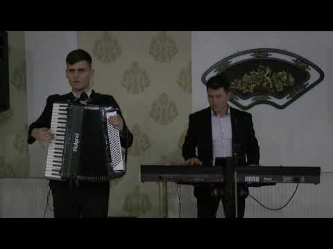 Formatia Costel Brazdis 2018 - Sarba instrumentala acordeon
