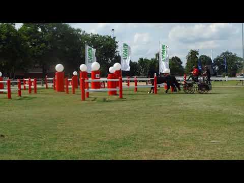 Fahrturnier Ostenfelde 15.8.2021