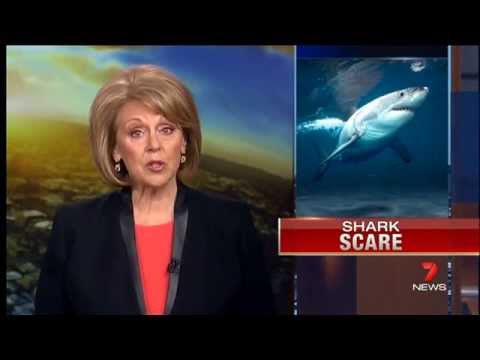 Shark Scare | Seven News Perth | 27/08/2014