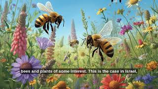 Luyên nghe tiêng anh- buổi 4- the ecological importance bees