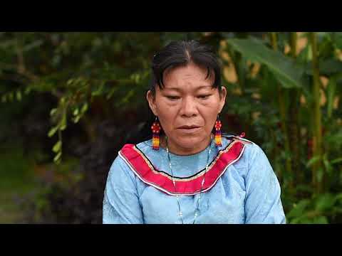 Maestra Maricela sings Icaro for healing