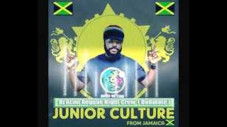 Junior Culture - Dem Try To Conquer We - Dubplate  - Dj Acon Reggae Night Crew Foundation Sound
